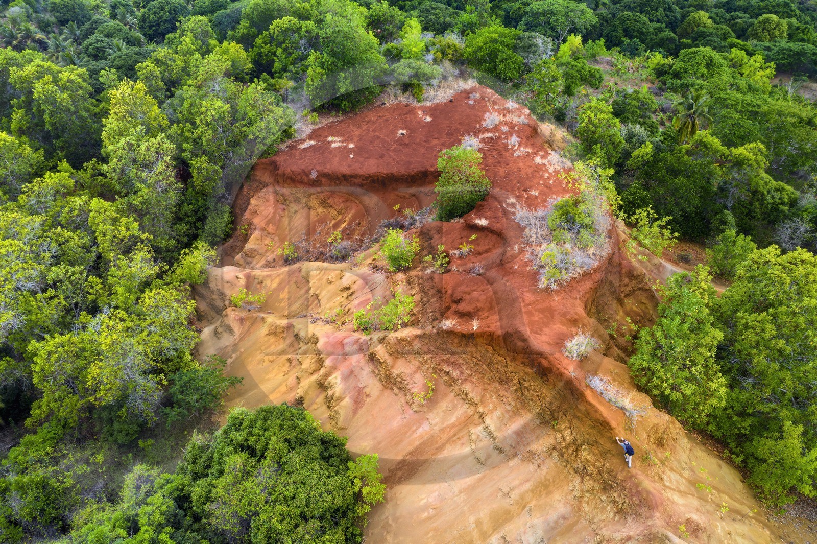 France, Ile de Mayotte, Grande-Terre, Mbouini, les Padzas de Dapani, zones déforestées et ravinées avec des sols rougeatres (vue aérienne)