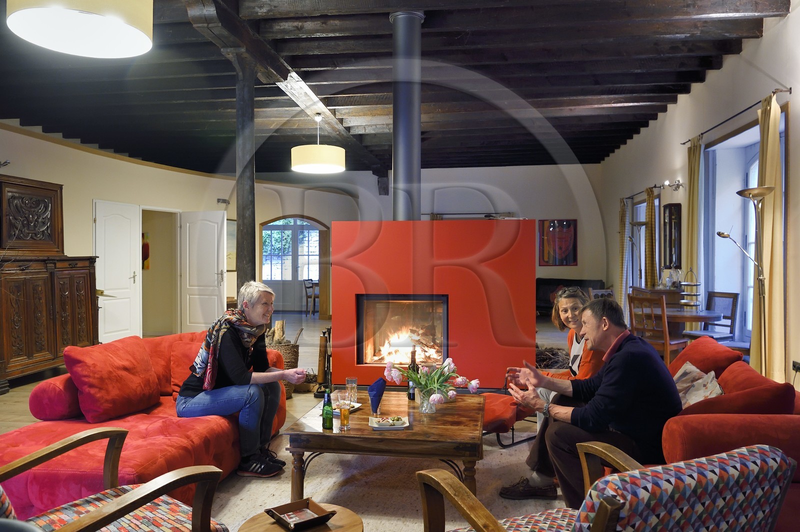 France, Charente (16), Bourg-Charente, chambres d'hotes le Domaine des Platanes