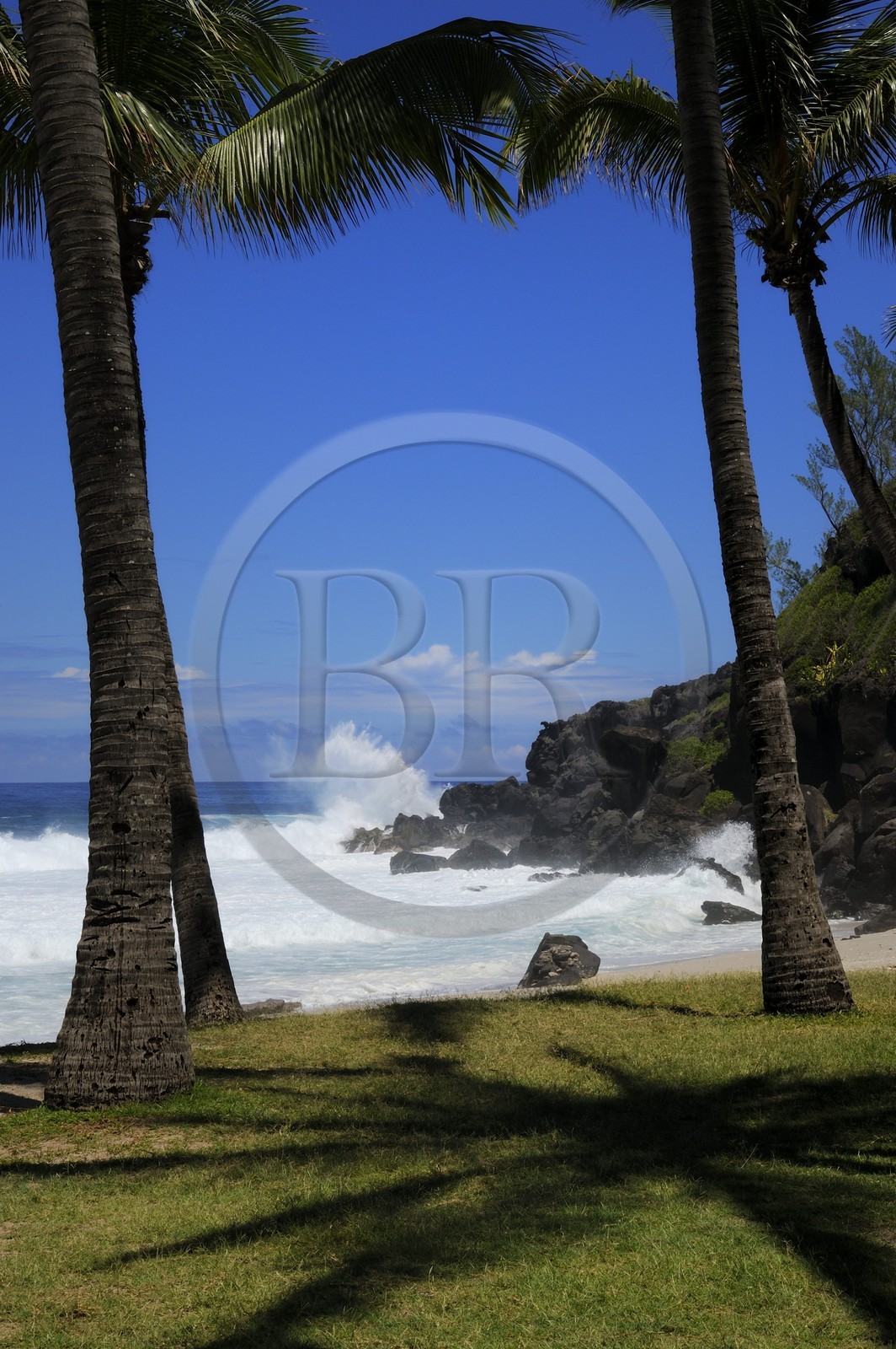 France, île de la Réunion, la côte sud, plage de Grand-Anse