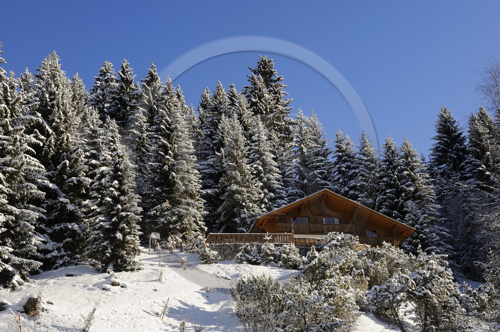 Switzerland, Canton of Vaud, Villars sur Ollon, chalet in the snow