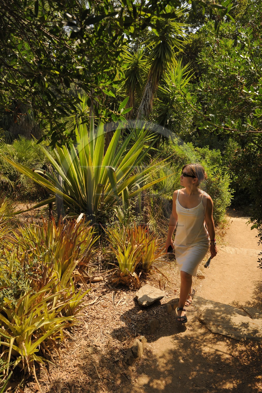 France, Var (83), Le Rayol-Canadel-sur-Mer, Domaine du Rayol, promenade au sein du Jardin des Méditerranées, propriété du Conservatoire du Littoral, mention obligatoire