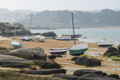France, Cotes-d'Armor, Cote de Granit Rose, Trégastel, Renote island, the beach at low tide