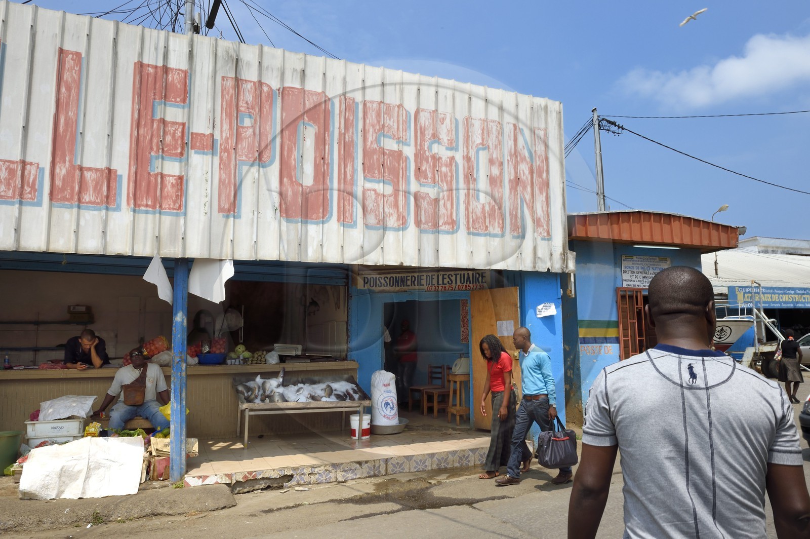 Gabon, Libreville, Port Mole, fish stall