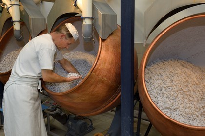 France, Meuse, Verdun, Braquier sugared almonds (dragee) factory, peeling almonds, operation designed to cover the almonds with a film and prevent oil from migrating to the outside