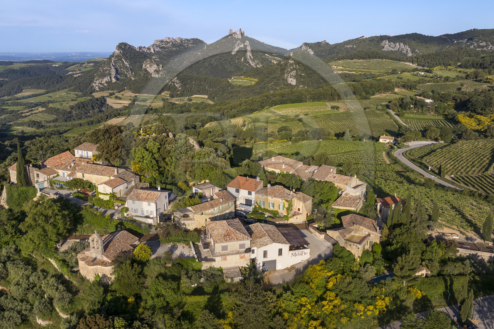 France, Vaucluse (84), Dentelles de Montmirail, le village de Suzette entouré par le vignoble, le Clapis prolongé par le Grand Montmirail à gauche, les Dentelles Sarrasines au centre et le Grand Travers à droite en arrière plan (vue aérienne)