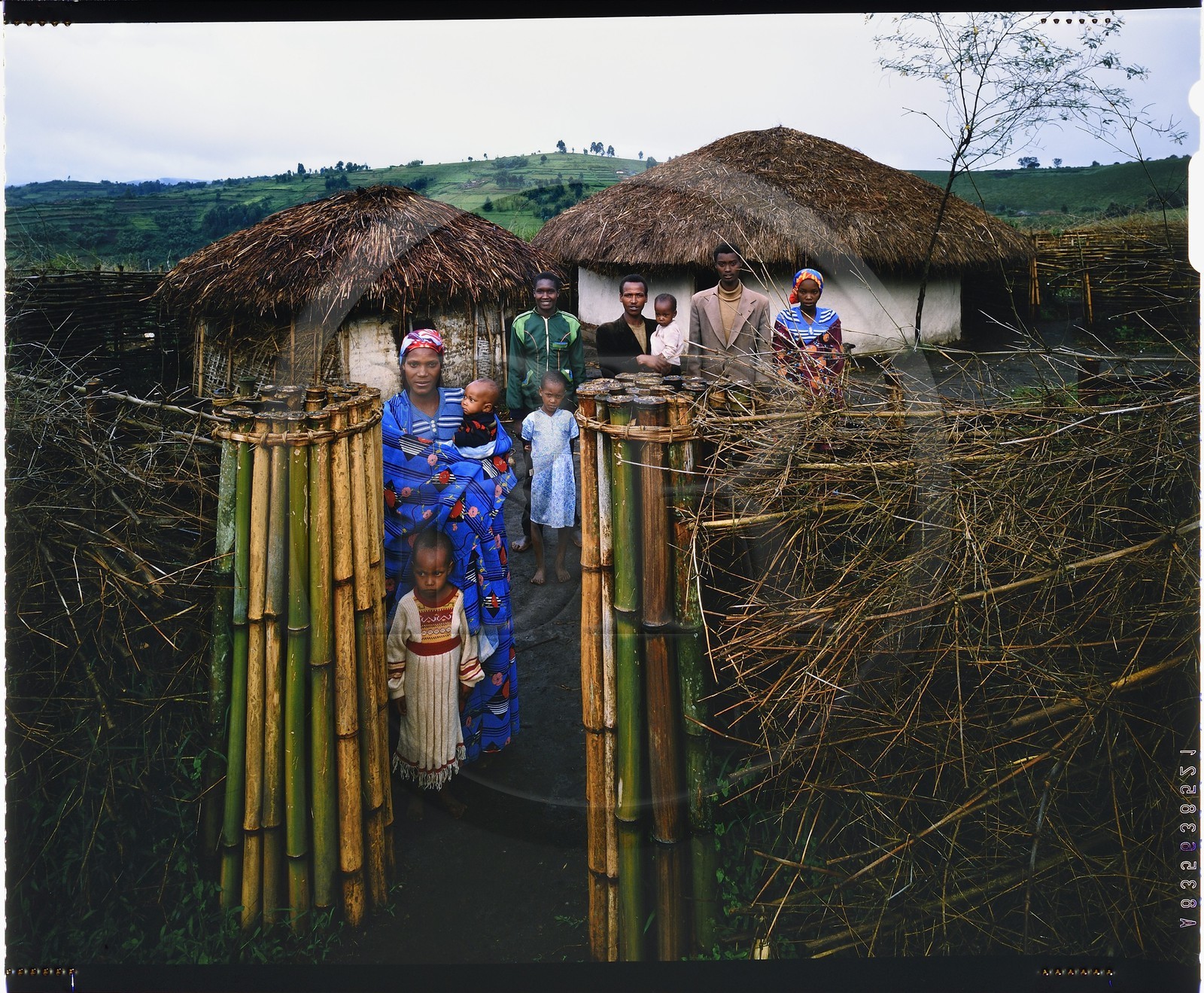 Burundi, Bujumbura Province, Ijenda area, Tutsi family in the main courtyard of the rugo (traditional farm), right is the house and left the hut which houses young calves (4x5 reversal film reproduction)