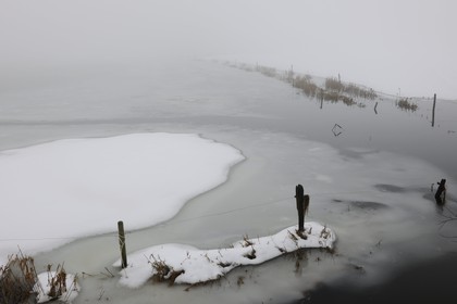 France, Manche (50), Cotentin, marais de la Douve vers Liesville-sur-Douve