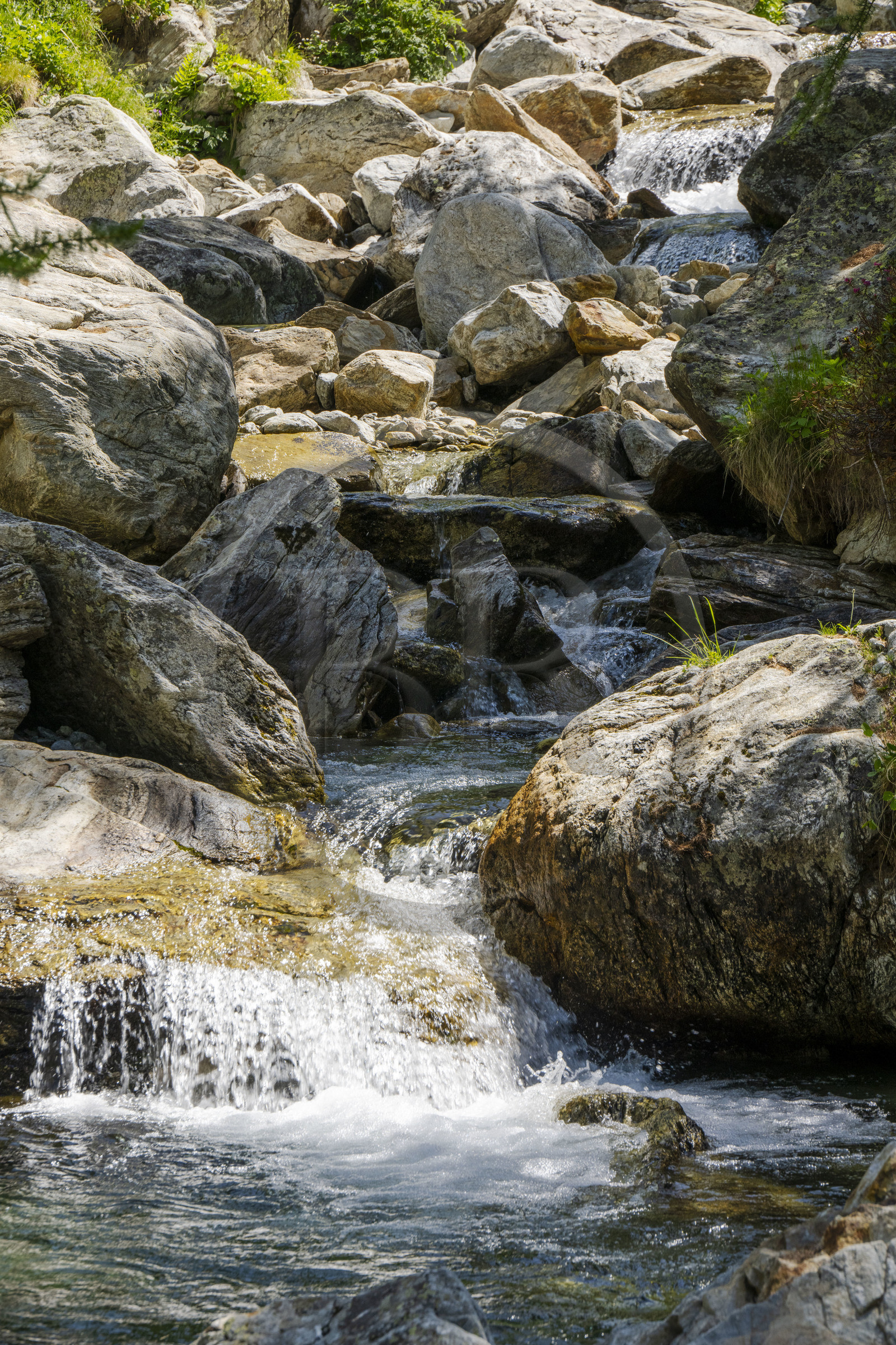 France, Alpes-Maritimes, Parc National du Mercantour (Mercantour national park), Haute Vesubie, Saint Martin Vesubie, Val du Haut Boréon, the Boréon river