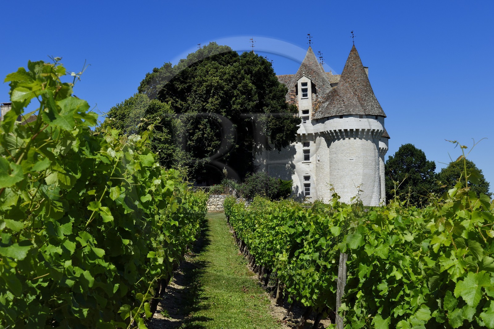 France, Dordogne (24), Périgord Pourpre, Monbazillac, Chateau de Monbazillac au milieu de ses vignes