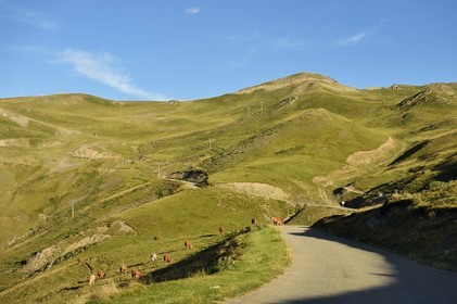France, Hautes Pyrenees, Saint Lary Soulan, road going up to Col de Portet