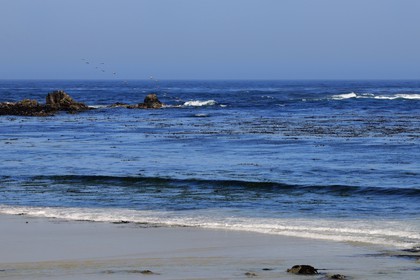 Etats-Unis, Californie, 17 mile drive, Spanish Bay
