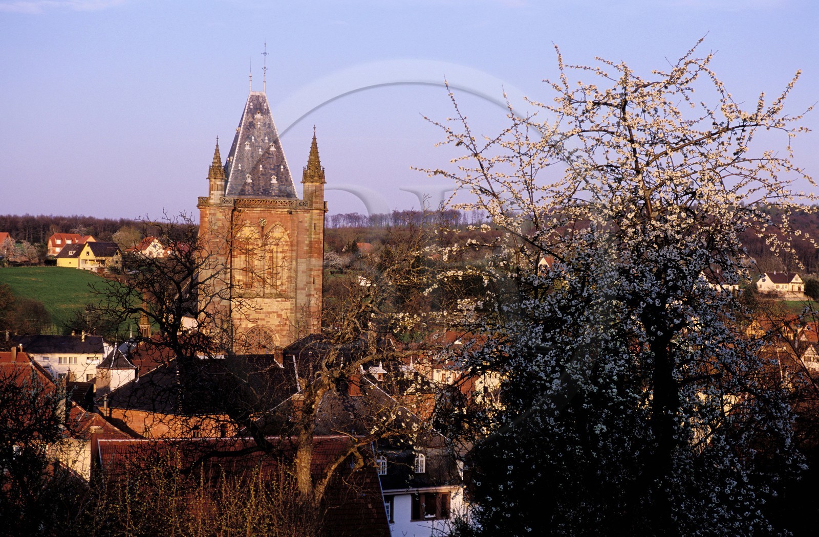 France, Bas-Rhin (67), Niederhaslach, la collégiale Saint-Florent