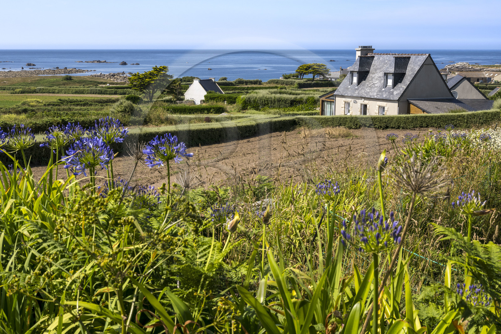 France, Finistère, Ponant Islands, Ile de Batz (Batz Island), hamlet on the northwest coast
