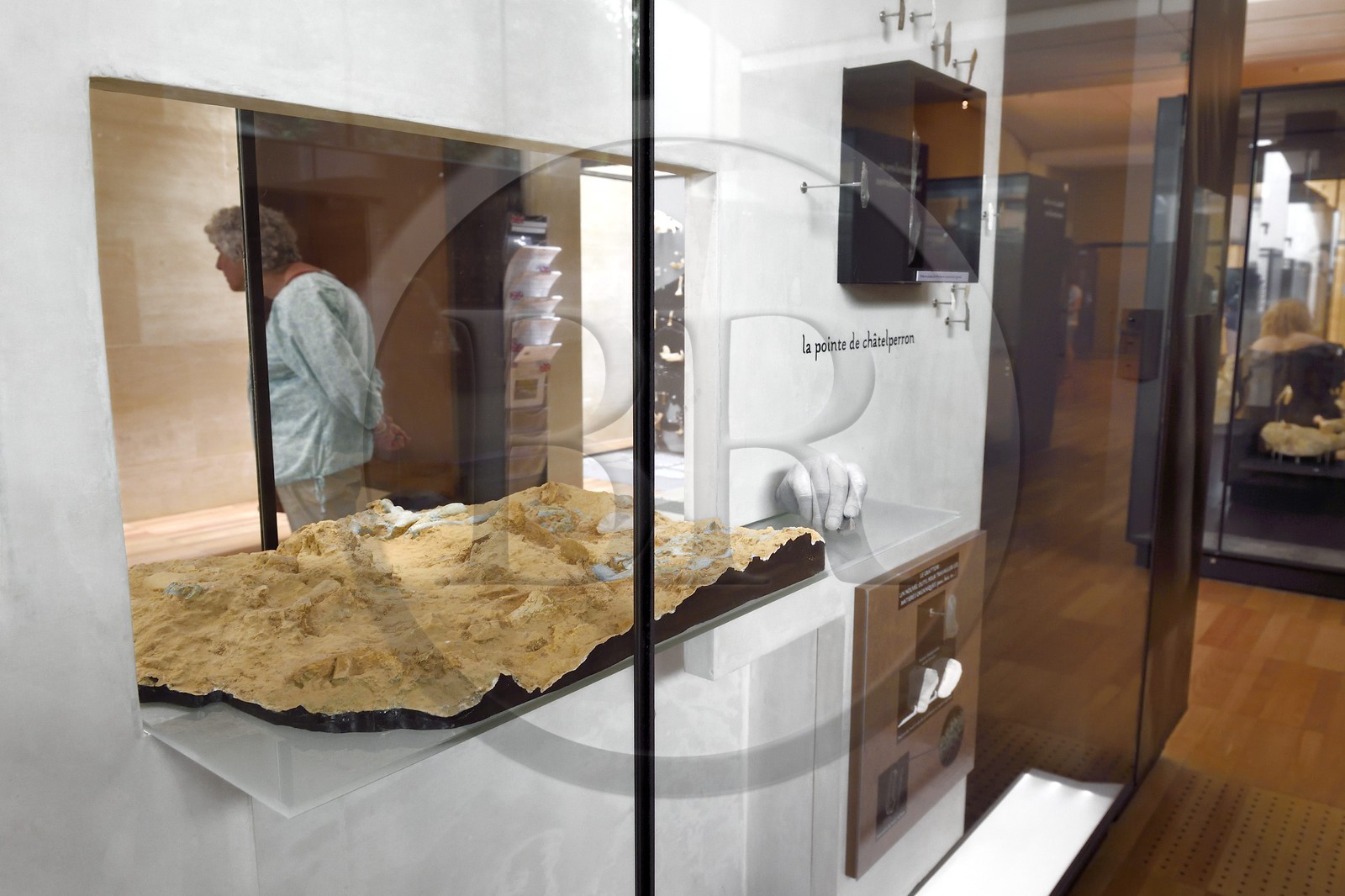 France, Dordogne (24), Périgord Noir, vallée de la Vézère, Les Eyzies-de-Tayac-Sireuil, site classé Patrimoine Mondial de l'UNESCO, Musée National de la Préhistoire