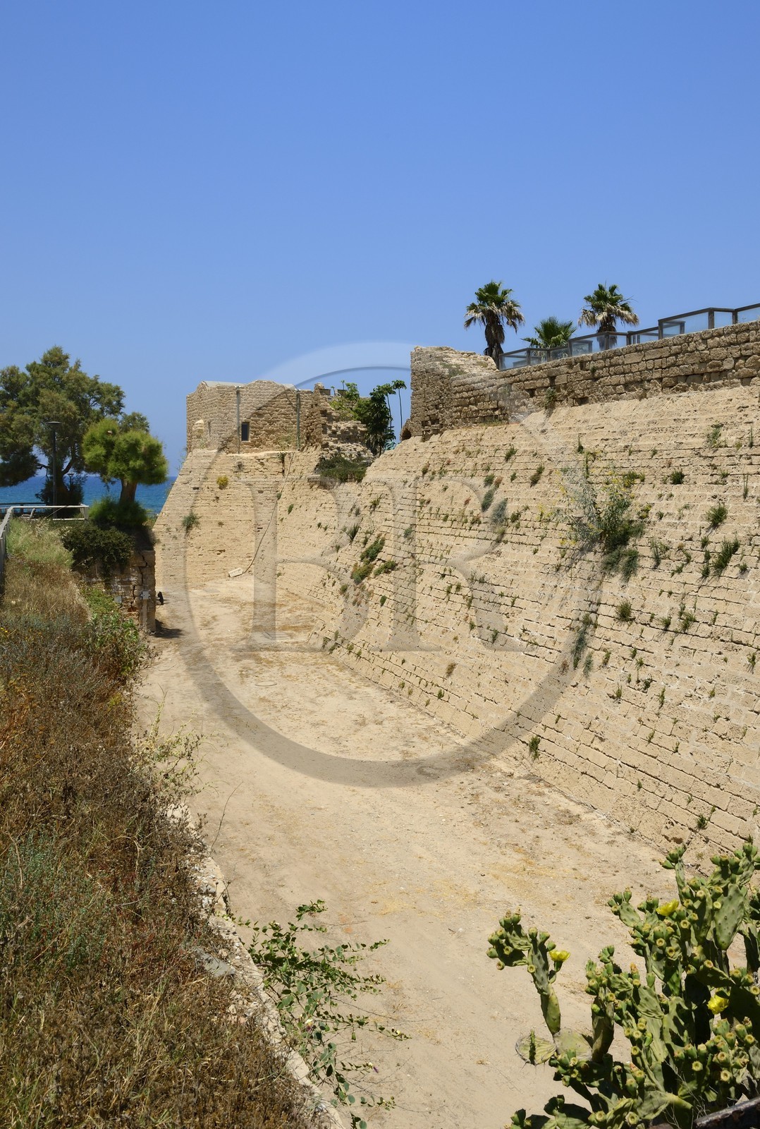 Israël, district d'Haifa, Césarée (Caesarea Maritima), ruines de Césarée, remparts de la citadelle des croisés