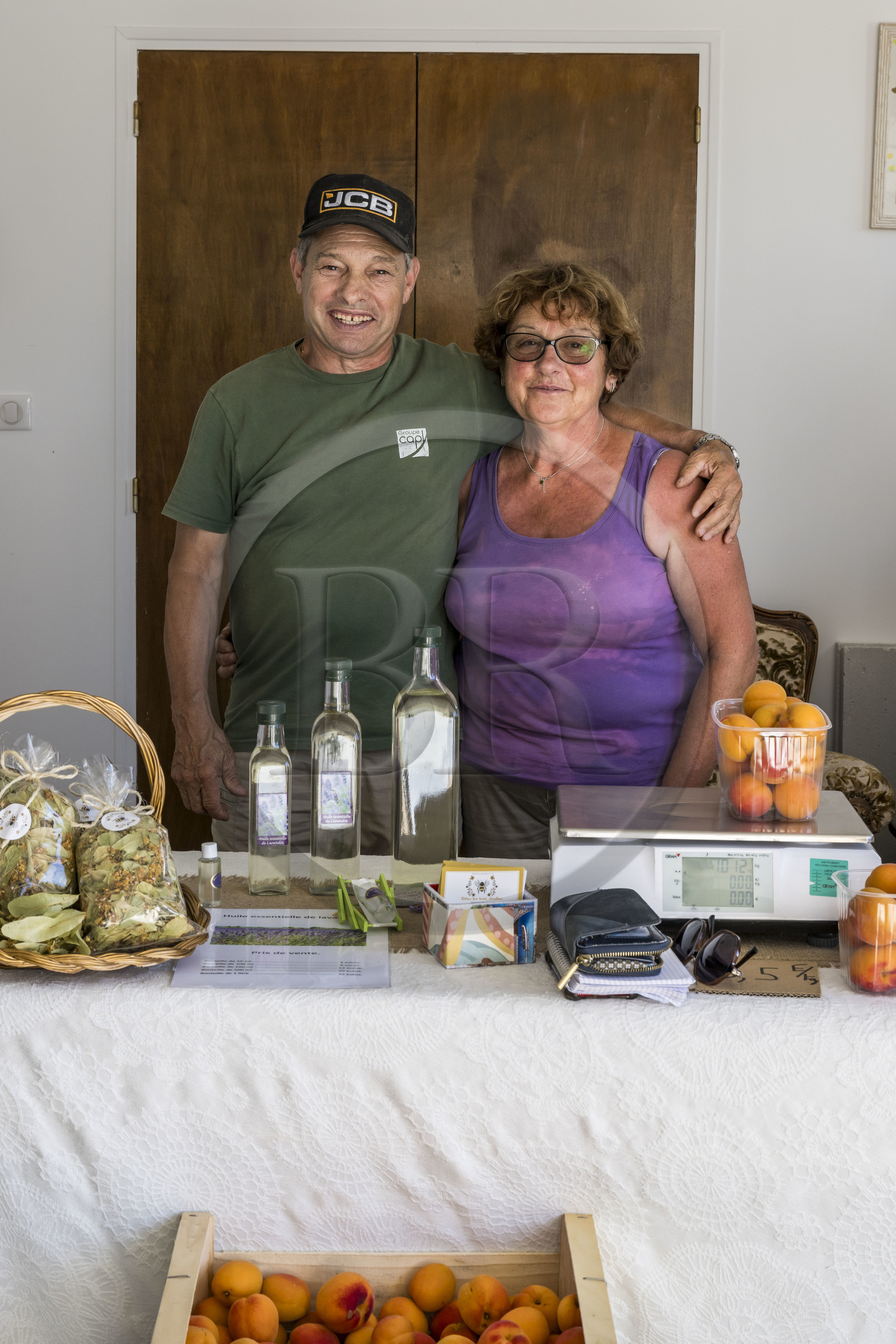 France, Drôme (26), parc naturel régional des Baronnies provençales, Bésignan, vallée de l’Ennuye, culture de l'abricot (vue aérienne)