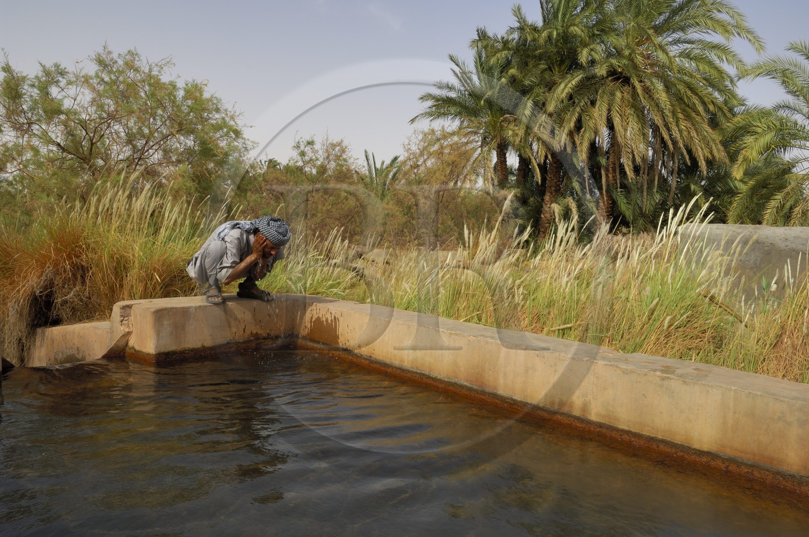 Egypte, désert libyque, oasis de El-Dush au sud de Kharga