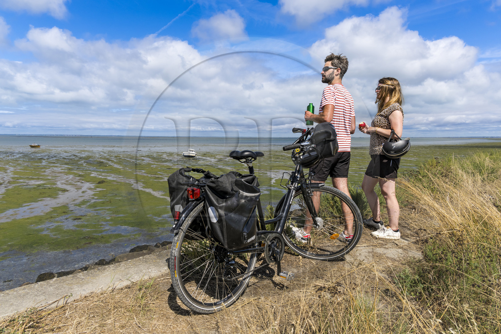 France, Vendée (85), île de Noirmoutier, La Guérinière, cyclistes sur la piste cyclable qui suit la digue entre le Port de Bonhomme et le passage du Gois