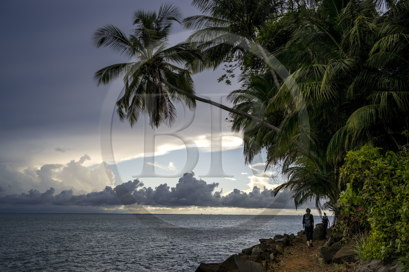 France, Guyane, Kourou, Iles du Salut, Ile Royale, randonnée sur le sentier cotier
