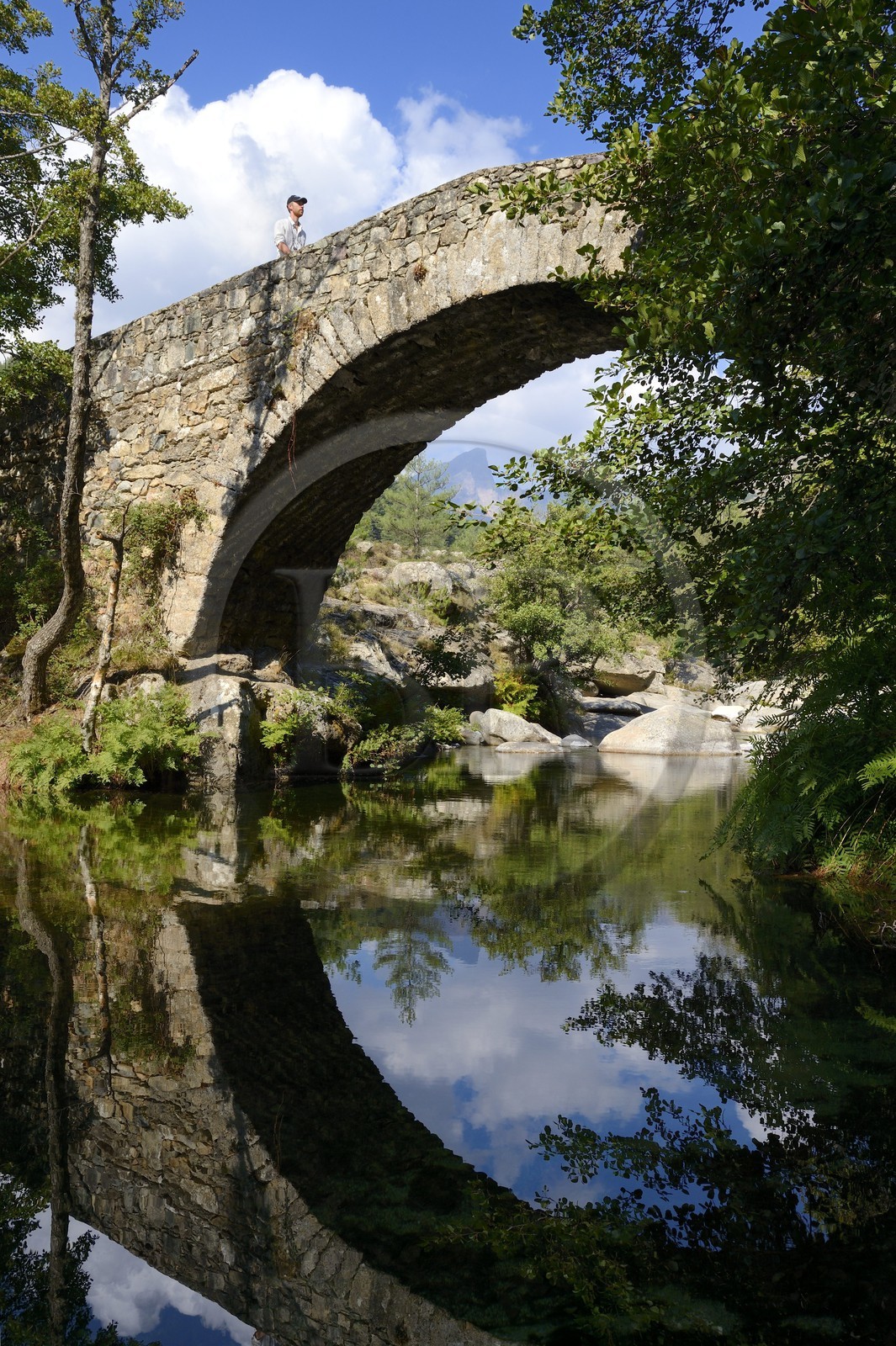 France, Haute Corse, Niolu (Niolo) region, Genoese bridge of Murricciolu over the Calasima river