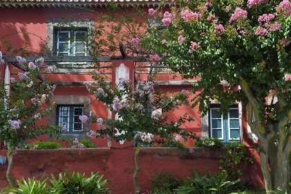 Portugal, Madeira Island, Calheta, Quinta das Vinhas hotel