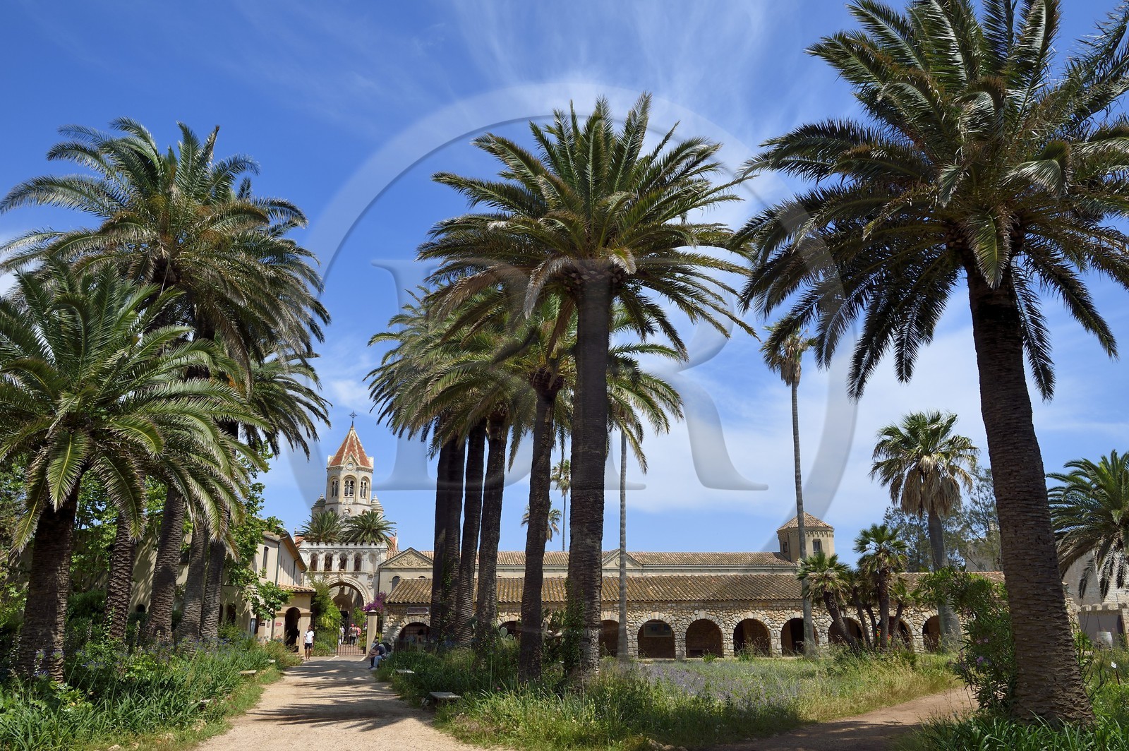 France, Alpes-Maritimes (06), Cannes, Iles de Lérins, Ile de Saint-Honorat, Abbaye de Lérins, l'église abbatiale du monastère