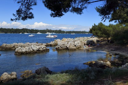 France, Alpes-Maritimes (06), Cannes, Iles de Lérins, Ile de Saint-Honorat, petite plage