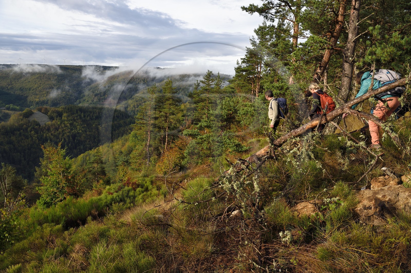 France, Ardèche (07), parc naturel régional des Monts d'Ardèche, massif du Mézenc, forêt de Lac-d'Issarlès, randonneurs au sommet de Montchamp dominant la vallée de la Loire