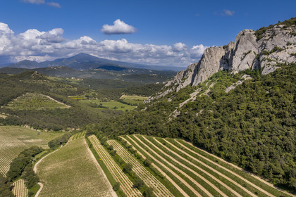 France, Vaucluse, Dentelles de Montmirail mountains, the mountain of the Dentelles Sarrasines and the terraced vineyards, Mont Ventoux in the background (aerial view)
