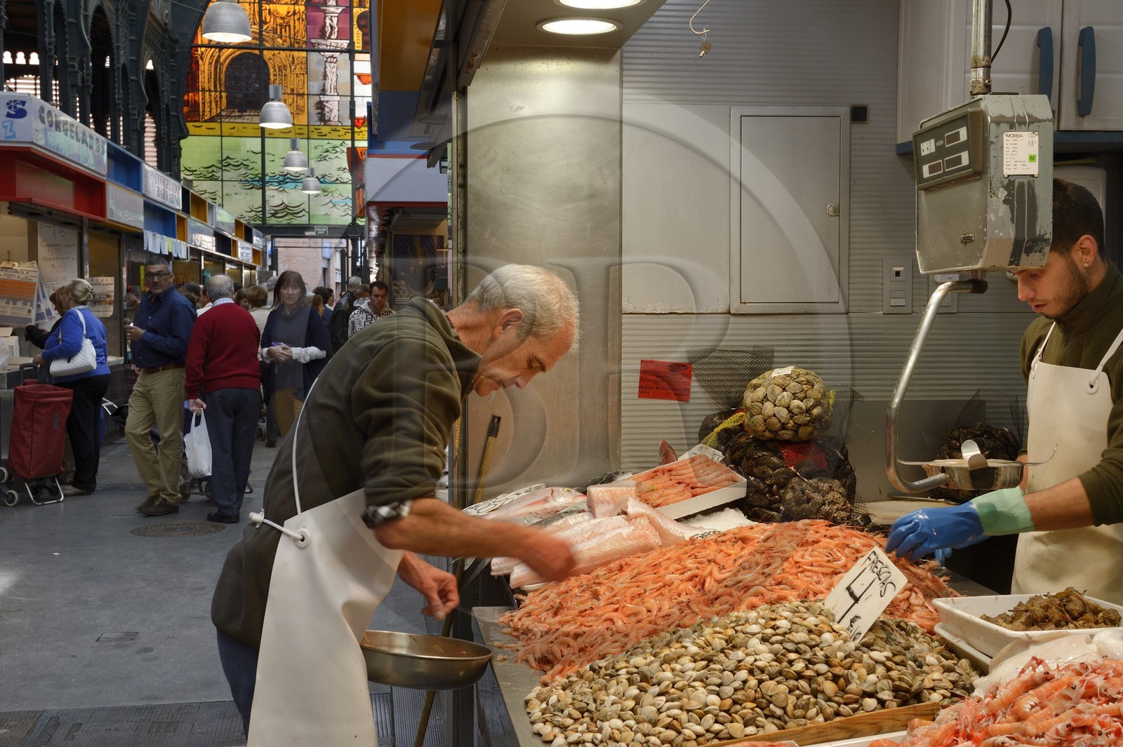 Espagne, Andalousie, Malaga, Mercado Central de Atarazanas, le marché aux poissons dans le marché central