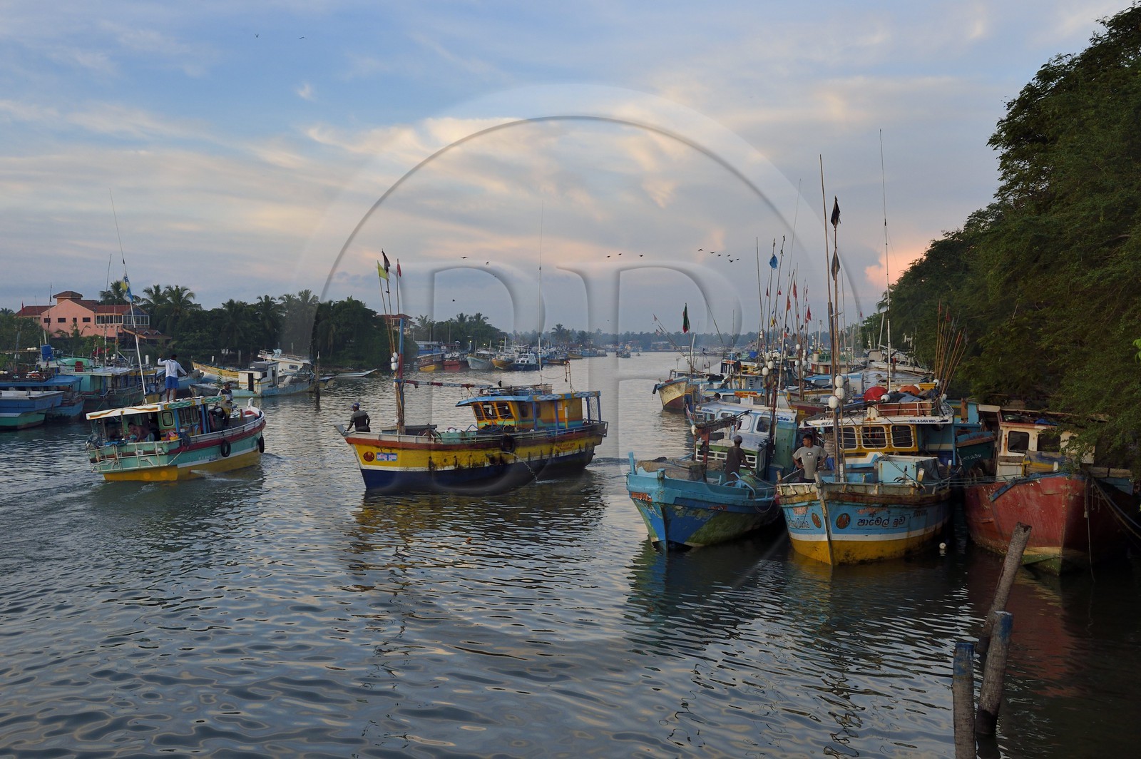 Sri Lanka, Western Province, Negombo, return of fishing boats at dawn