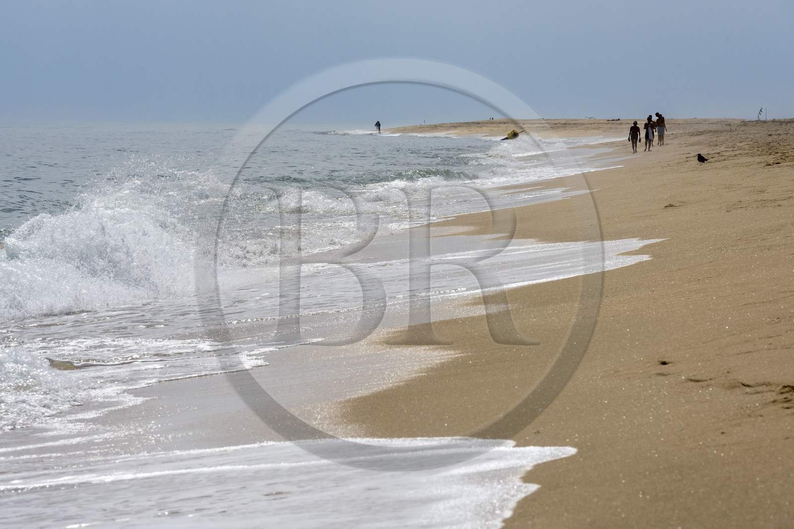Portugal, Algarve, Ria Formosa Natural Park, Faro, the beach of Island of Barreta or Deserta (Ilha da Barretta or Deserta)