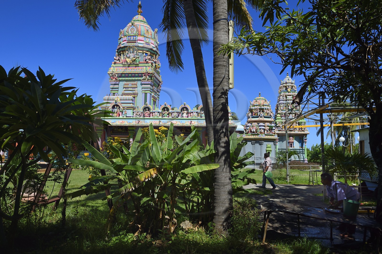 France, Reunion island (French overseas department), Saint Pierre, La Ravine Blanche, Narassingua Perournal Tamil temple