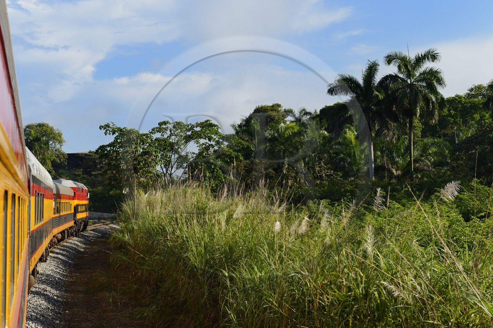 Panama, Panama Canal Railway, Historic Train which runs between Panama City & Colon along the Panama Canal and passing through the Isthmus