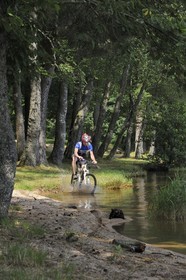 France, Nièvre (58), lac des Settons, découverte à vélo