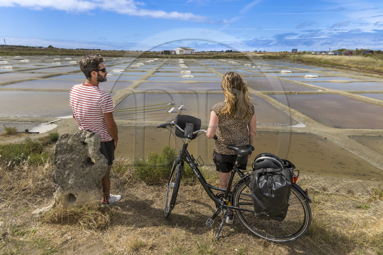 France, Vendee, Noirmoutier island, L'Epine, bike ride, stop in front of salt marshes