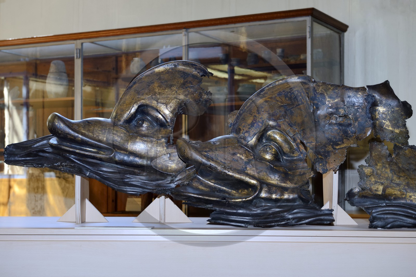 France, Isère (38), Vienne, Musée des Beaux-Arts et d'Archéologie situé au premier étage de l'ancienne halle à grains, dauphins en alliage cuivreux doré datant du IIème siècle après J.C. découverts sur les berges du Rhône à Vienne en 1840