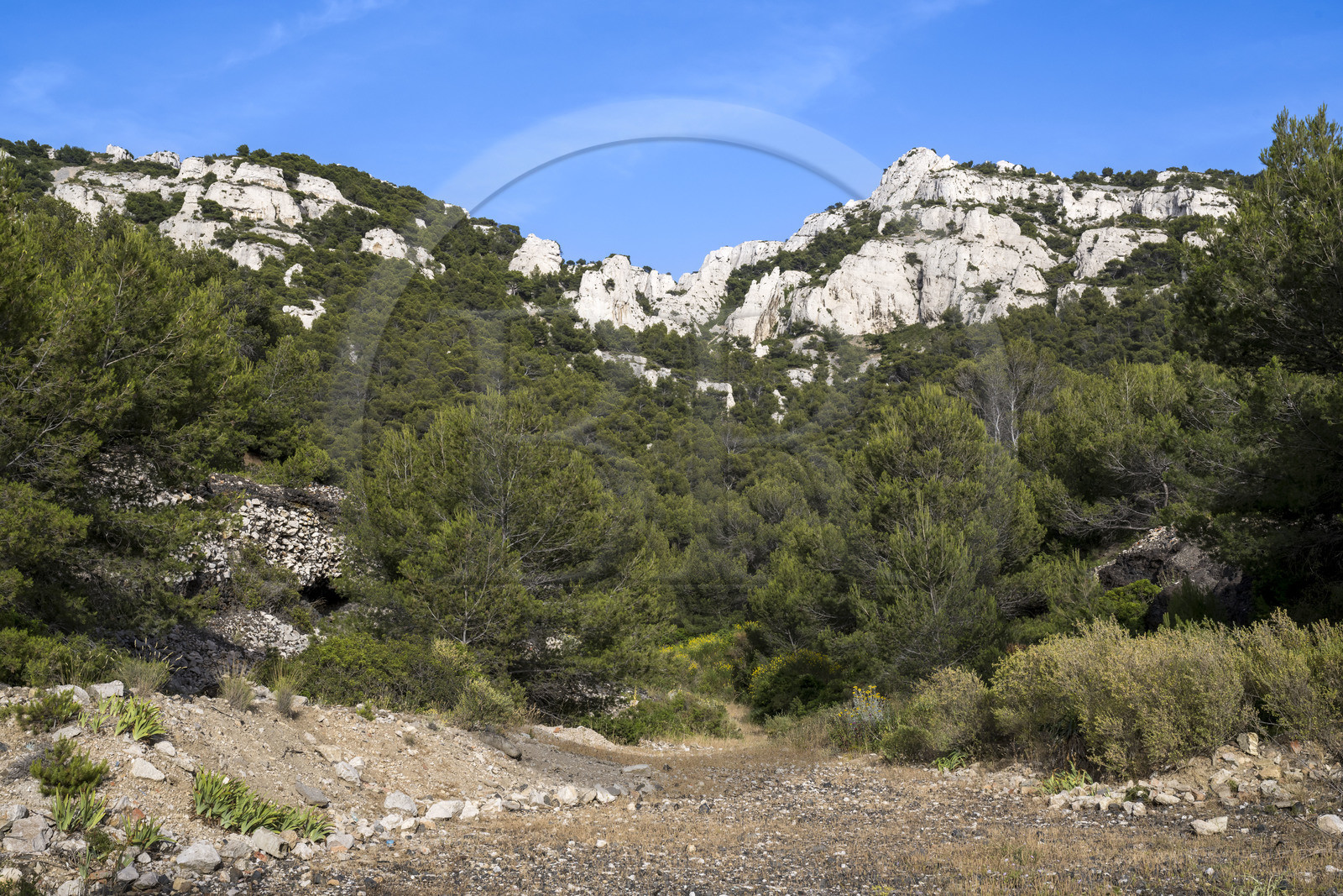 France, Bouches-du-Rhône (13), Marseille, quartier des Goudes, le massif de Marseilleveyre au dessus du vallon de l'Escalette et du village des Goudes, à l'orée des Calanques