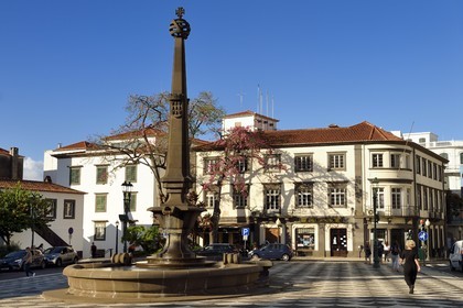 Portugal, Madeira Island, Funchal, praca do municipio
