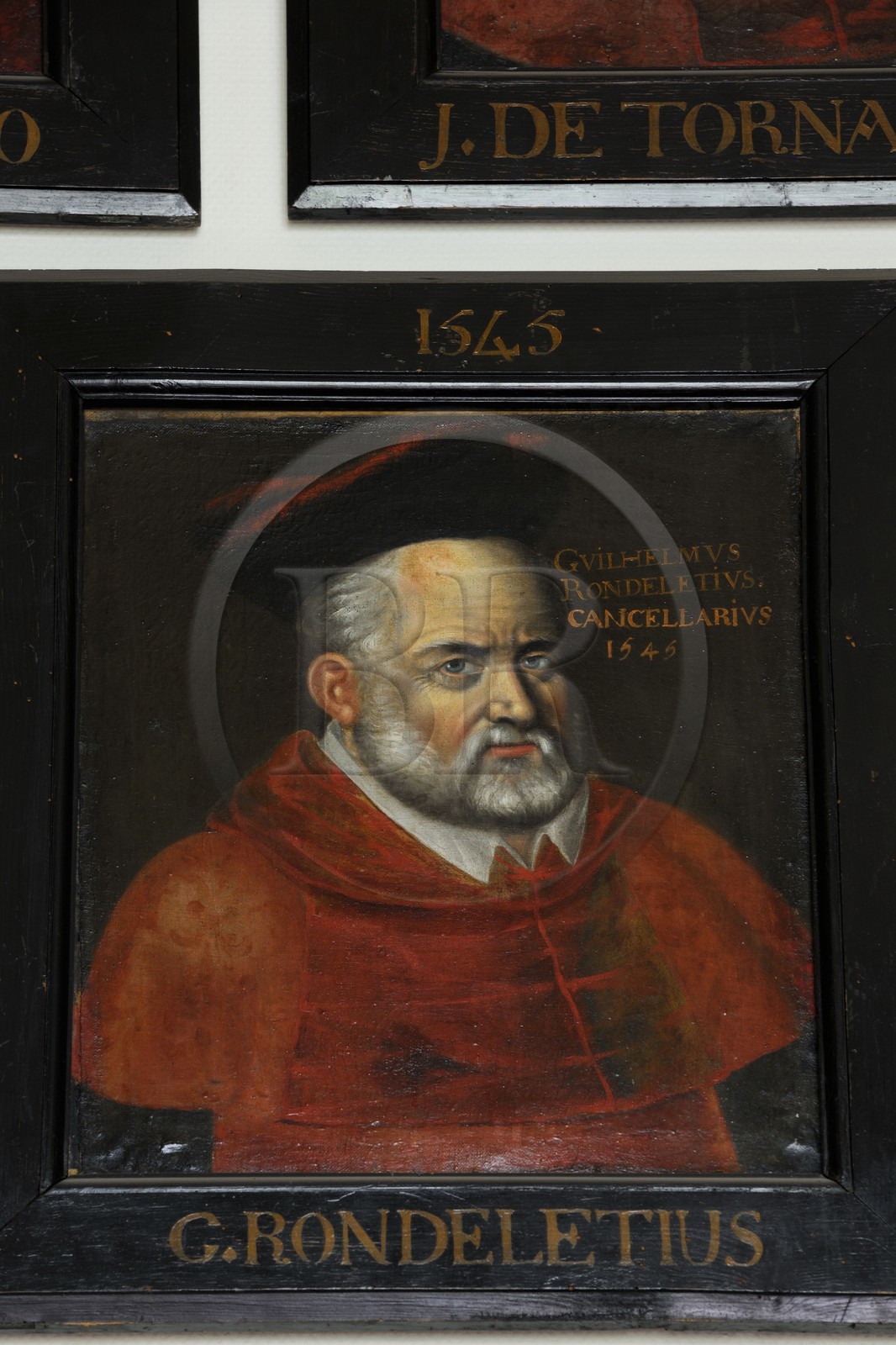 France, Herault, Montpellier, historical center, Medecine University, locker room of the teatchers, portrait of Guillaume Rondelet friend of Rabelais in 1545