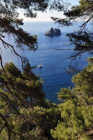 France, Var (83), La Seyne-sur-Mer, randonnée dans le massif du Cap Sicié le long du chemin du Joncquet en contrebas de la Corniche Merveilleuse, le Rocher des Deux Frères