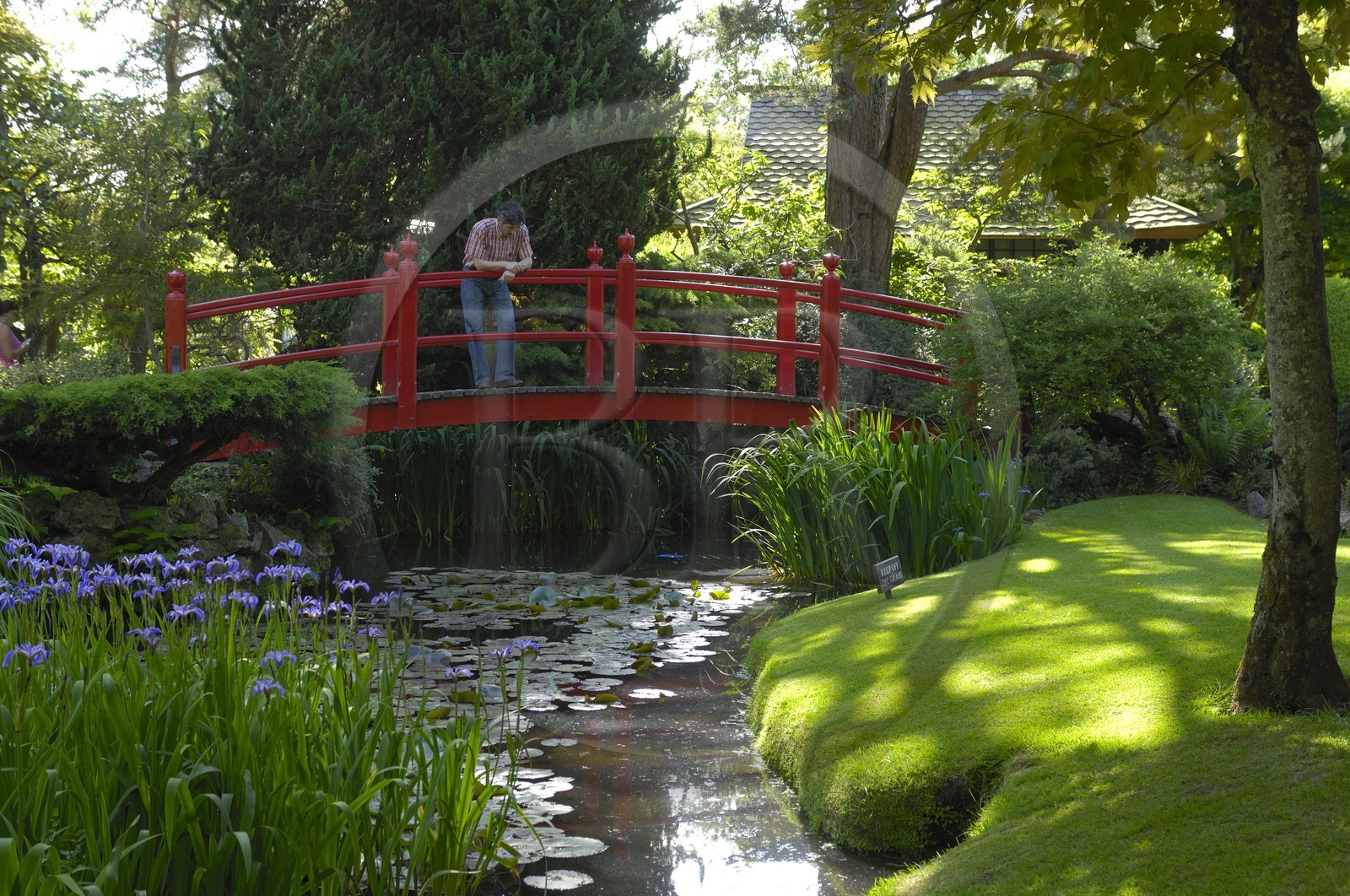 Irlande, Co. Kildare, Tully, Irish National Stud, les jardins japonais