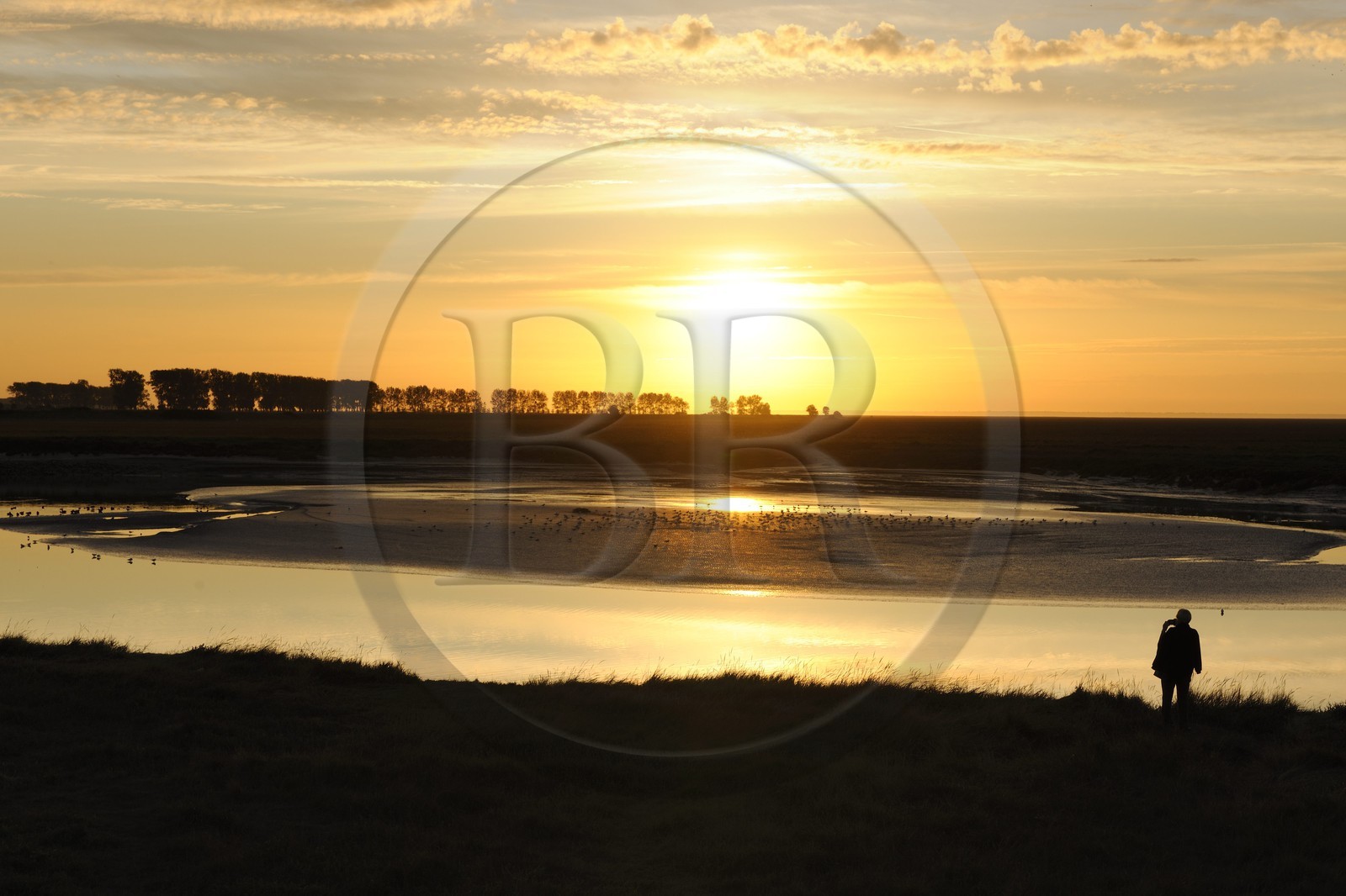 France, Manche, Bay of Mont Saint Michel, intertidal zone of Couesnon River at sunset
