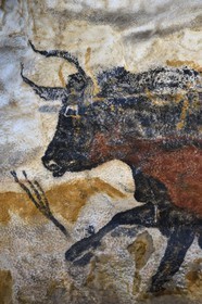 France, Dordogne, Montignac, the Atelier des Fac-Similés du Périgord (Perigord's Facsimile Workshop AFSP) specialised in mineral reproduction of prehistoric painted walls using “stone veil” patented technique and in charge of the Lascaux cave’s walls faithfull reconstitution, Aurochs, compulsory mention Atelier des Fac-Similés du Perigord