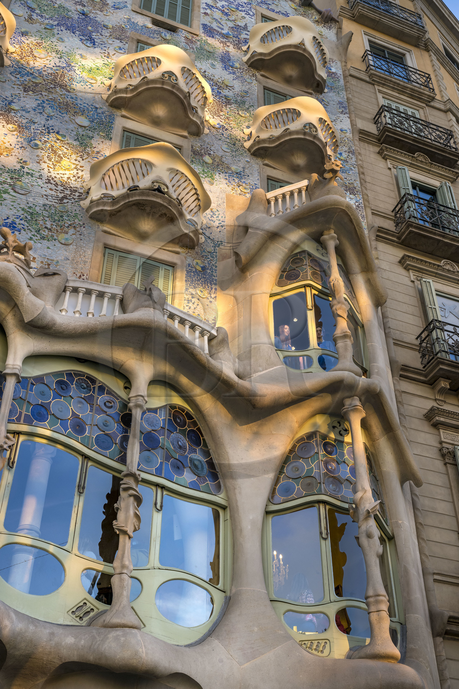 Espagne, Catalogne, Barcelone, quartier de l'Eixample, Passeig de Gracia, Casa Batllo de l'architecte du modernisme catalan Antoni Gaudi, site classé au Patrimoine Mondial de l'UNESCO, la grande verrière au profil sinueux du salon central de l'étage principal