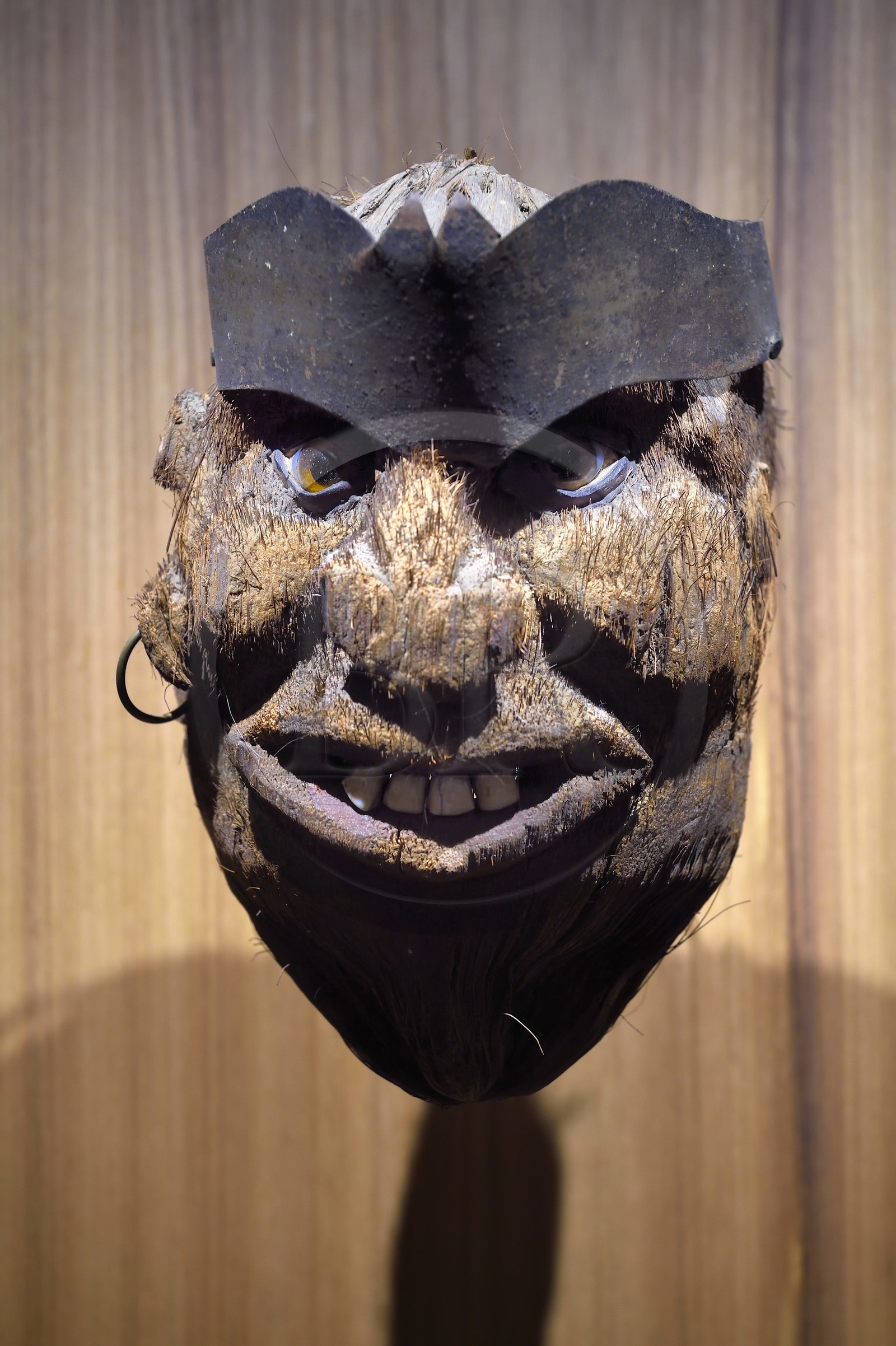 France, Var, Saint-Tropez, 16th century citadel, Museum of St. Tropez Maritime History, marine head carved in a coconut (19th century)