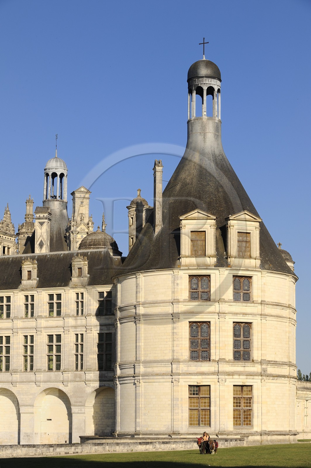 France, Loir et Cher, Loire Valley listed as World Heritage by UNESCO, Chateau de Chambord