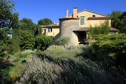 France, Var, Provence Verte (Green Provence), Bras village next to Saint Maximin, Le Peyrourier Bed & Breakfast, une campagne en Provence