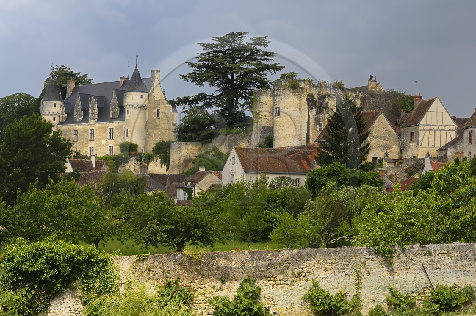 France, Indre-et-Loire (37), Montrésor, le château