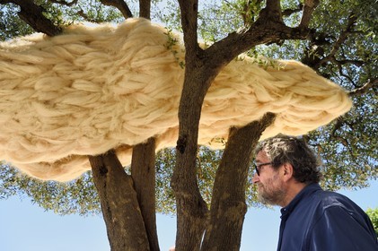 France, Alpes-Maritimes, Saint Paul de Vence, Olivier Kaeppelin President of the International Biennale of Saint-Paul de Vence, La Nebuleuse des  Dryades (The Nebula of the Dryads) (2021) work by Charles Le Hyaric